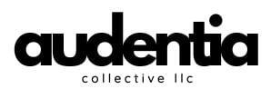 audentia coaching llc